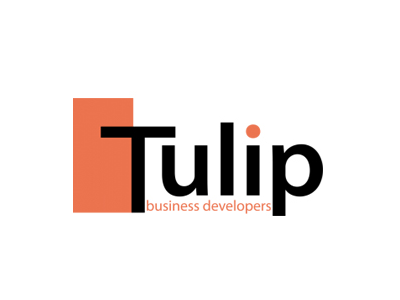 Tulip BIZ Developer